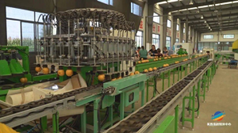 The  First   Fruit   Standardization   Uppruni   Þjónusta   Forum