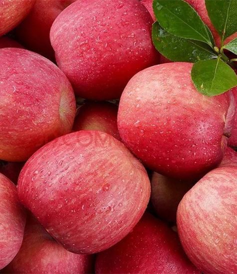 Allar tegundir af eplum