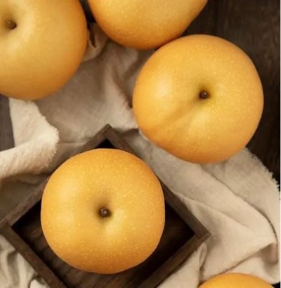 Risastór asísk pera